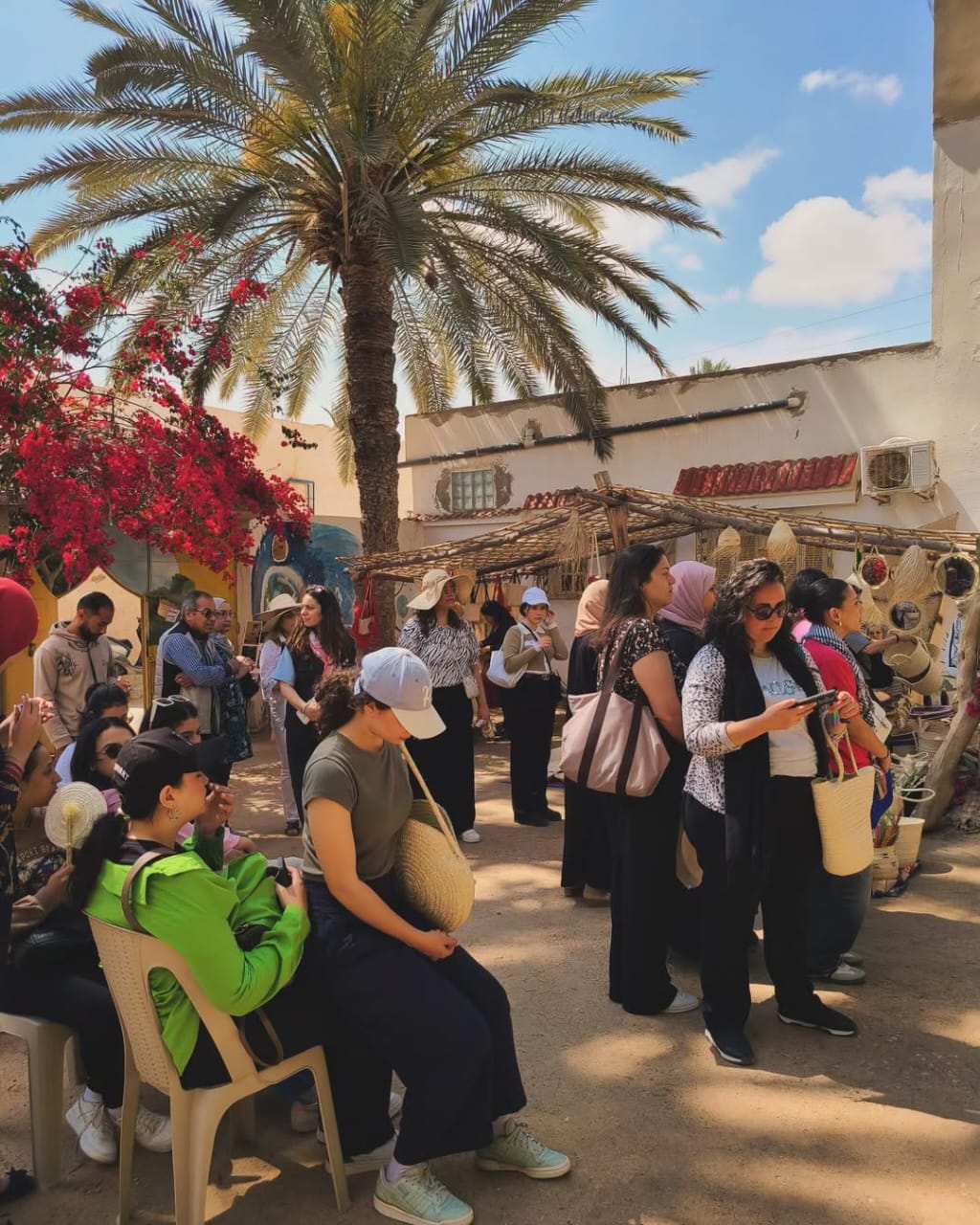 Our Activities & Impact